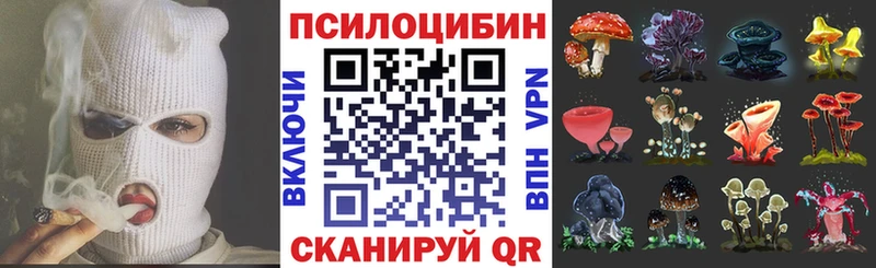 Псилоцибиновые грибы мицелий  дарнет шоп  Межгорье 